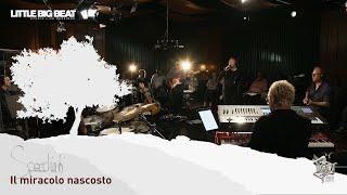 Mario Borrelli & Saki Hatzigeorgiou - Il miracolo nascosto