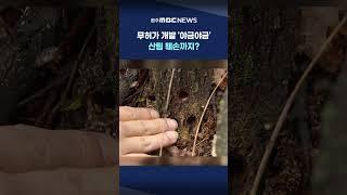[MBC 뉴스데스크 원주] 무허가 개발 '야금야금'.. 산림 훼손까지?