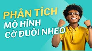 Mô Hình Cờ Đuôi Nheo Forex - Bí Quyết Xác Định Điểm Vào Lệnh Chính Xác Trong Forex