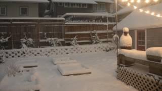 Time-lapse of record snowfall in Northeast Portland backyard