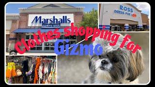 Clothes shopping for GIZMO