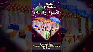 SALAT O SALAM || PEER ABID HUSSAIN QUADRI || #ytshorts #shorts #reels