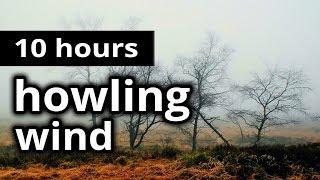 WIND SOUNDS: "Howling Wind" - 10 HOURS - A whistling wind outside on the bleak moors - SLEEP SOUNDS