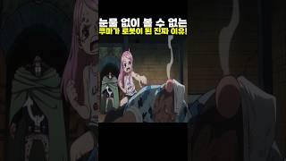 눈물 없이 볼 수 없는 쿠마가 로봇이 된 진짜 이유! #onepiece #원피스