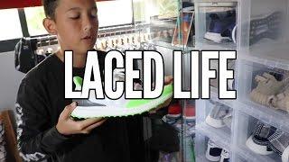 Laced Life: Young Sneaker Head With Some Adidas Heat!