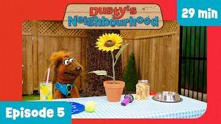 Jesus Teaches About Worry | Kid's Bible Lesson on Worry | Dusty's Neighbourhood | Episode 5