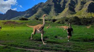 Jurassic Valley, Hawaii stampede