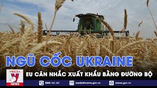 EU nhóm họp cân nhắc xuất khẩu ngũ cốc Ukraine bằng đường bộ - Tin thế giới - VNEWS