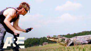 Billy the Exterminator: Grabbing GATORS | MEGA-Compilation | A&E