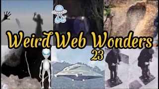 Weird Web Wonders  VOL 23