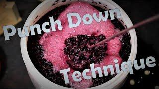 Punching Down Wine For Better Flavor and Extraction.