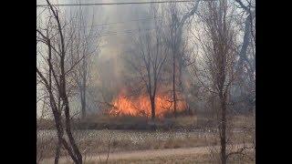 Fire in Security-Widefield