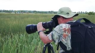 Viera Wetlands Festival 2017