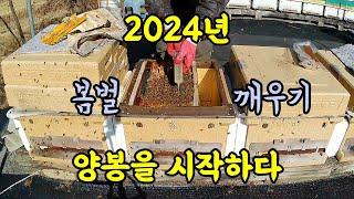 2024년 1월 14일 2024년 양봉을 시작하다(봄벌 깨우기)