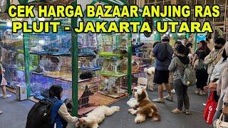 Cek Harga Bazaar Anjing Ras Pluit Jakarta Utara