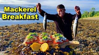 Shore Fishing MADE EASY Catching and Cooking Mackerel