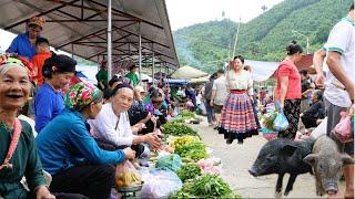 rustic market VINH YEN bao yen lao cai / the latest northwest market