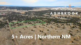 New Mexico Land For Sale | 5+ Wooded Acres Near BLM Land and Dormant Volcanoes | Ashbrook Land Co