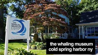 The Whaling Museum