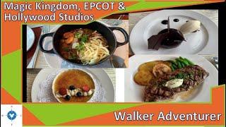 Walker Adventurer | Walt Disney World July '24 | Day 2 - Magic Kingdom, EPCOT, & Hollywood Studios