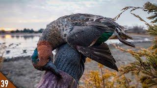 First Ice Hole Hunt of the Year | Duck Hunting a Cattle Pond