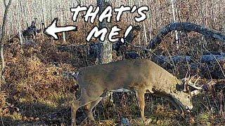 BIG BUCK at 4 YARDS!!! - Bowhunting