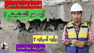 أيه هو التعشيش ؟ وأيه هي أسبابه - وكيفية معالجته؟ - هندسة مدنية وبس