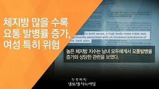 체지방 많을 수록 요통 발병률 증가, 여성 특히 위험 - (2011.4.2_367회 방송)_내 몸의 기둥, 척추