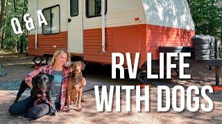 Full time RV living with dogs // top questions