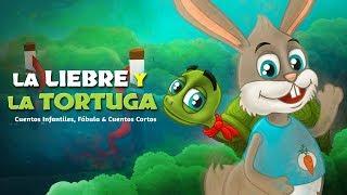 La Liebre y la Tortuga | Cuentos infantiles para dormir