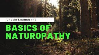 Understanding The Basics Of Naturopathy