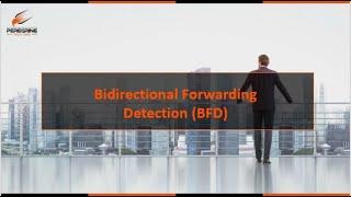 Bidirectional Forwarding Detection - BFD