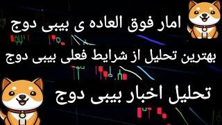 بهترین تحلیل از شرایط بیبی دوج | جدیدترین اخبار بیبی دوج | چه شایعه هایی راجب بیبی دوج وجود داره ؟