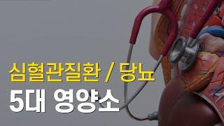 심혈관질환 (당뇨, 고지혈증) 5대 영양소