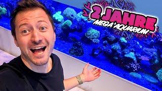 2 JAHRE MEGA AQUARIUM! 