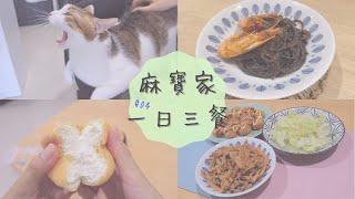 【主婦vlog】 假日三餐 | 濃郁奶香口感綿密的小農泡芙 | 簡單料理鮮蝦番茄墨魚麵 | 假日清冰箱料理 | 嚕貓日常 | Icolor生活小物開箱