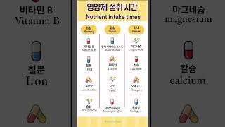 시간 별 먹는 영양제