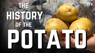 Fear, Famine, and French Fries: The Incredible Story of the Potato