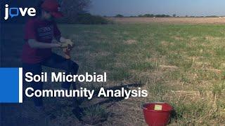 Soil Microbial Community Analysis