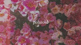 Polaroid - Alisson Shore, kiyo, no$ia (Official Audio)