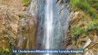 Bilimler Işığında Yaratılış Kongresi