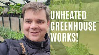 GREENHOUSE BENEFITS: How I use my unheated greenhouse in Winter!