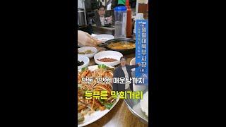 단돈 1만원에 매운탕까지 주는 등푸른막회 #포항맛집