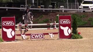 Video of CASTOR ridden by LUKE JENSEN from ShowNet!