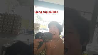EMZ TV igang