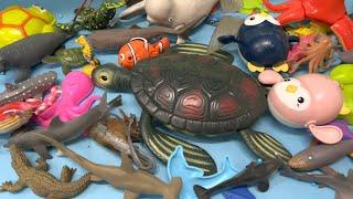 Collection of Sea Animals Toys for Kids