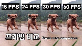 프레임 비교 15 FPS vs 24 FPS vs 30 FPS vs 60 FPS 뚜렷한 프레임 차이