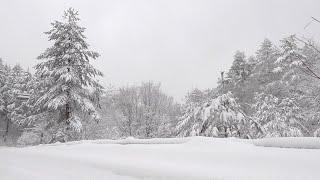 【雪景】山の中の雪が降る音でリラックスする 1時間8分