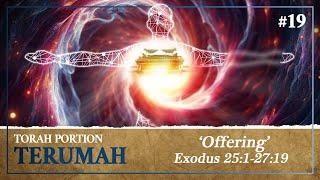 The Mystery of The Ark of the Covenant Inside Man & How it Connects to YHVH - Torah Portion Terumah