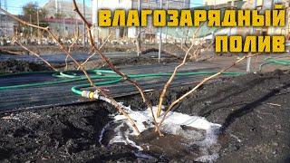 ВЛАГОЗАРЯДНЫЙ ПОЛИВ - Важный приём агротехники!